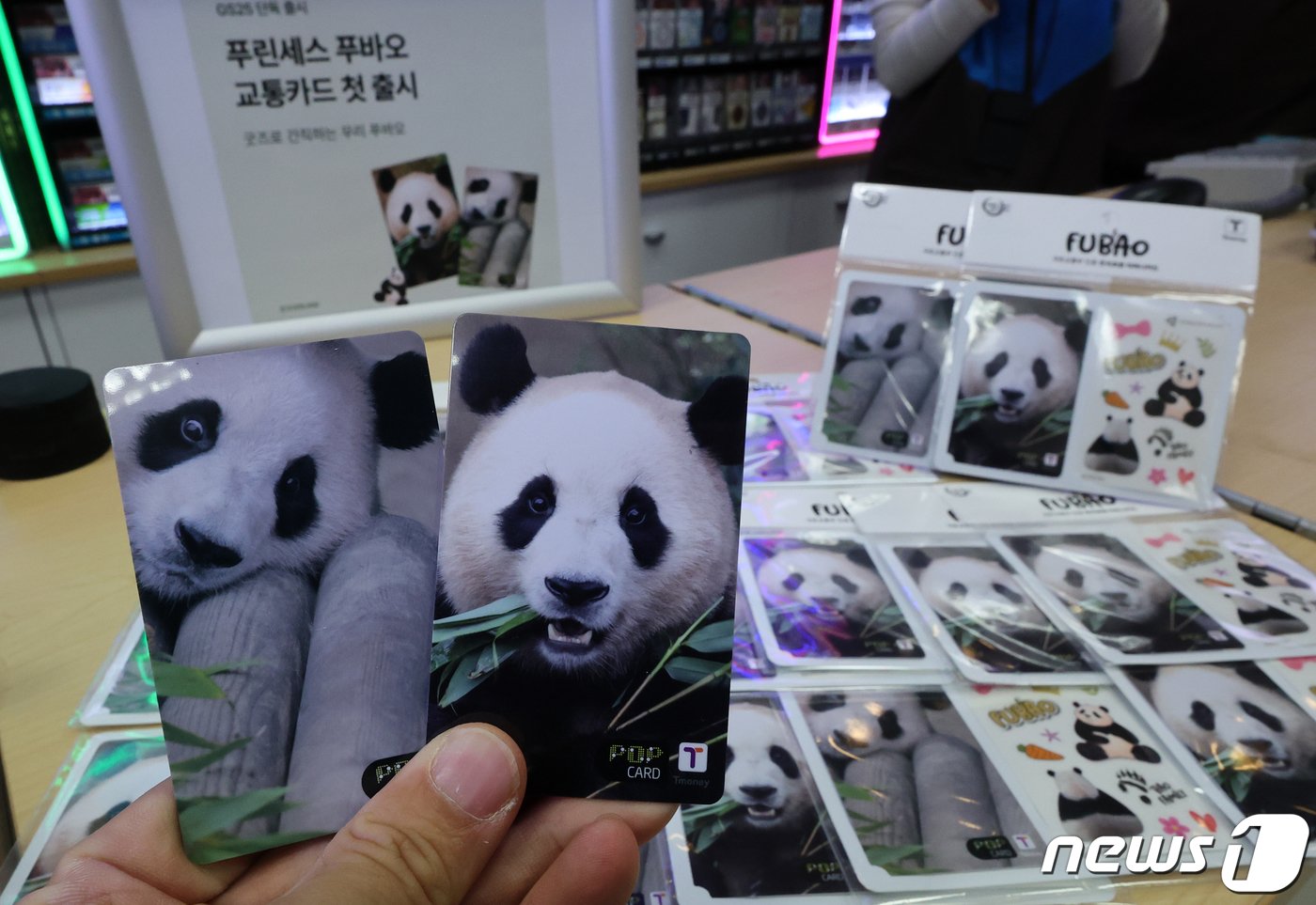 본문 이미지 - 티머니가 에버랜드와 손잡고 21일 ‘푸바오 티머니카드’ 2종을 출시했다. ‘푸바오 티머니카드’는 GS25에서 단독 출시하며, 2만장(2종 각 1만장) 한정판으로 만나볼 수 있으며, 전국 GS25, 티머니 온라인 가게 등에서 구매할 수 있다. 2020년 에버랜드에서 태어난 푸바오는 ‘용인 푸씨’, ‘푸공주’, ‘푸룽지’, ‘푸뚠뚠’, ‘푸장꾸’ 등 여러 별명을 가질 만큼 국내에서 큰 인기를 얻고 있다. 사진은 21일 서울 강남구 역삼동 GS25 지에스강남점에서 판매하는 ‘푸바오 티머니카드’ 2종. 2024.2.21/뉴스1 ⓒ News1 김진환 기자