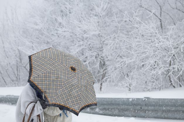 강원 중부산지·남부산지·태백 대설주의보…모레까지 최대 30㎝