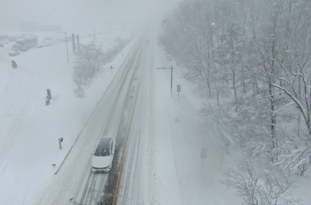 향로봉 -12도…강원 아침기온 뚝, 출근길 안개·빙판길 주의