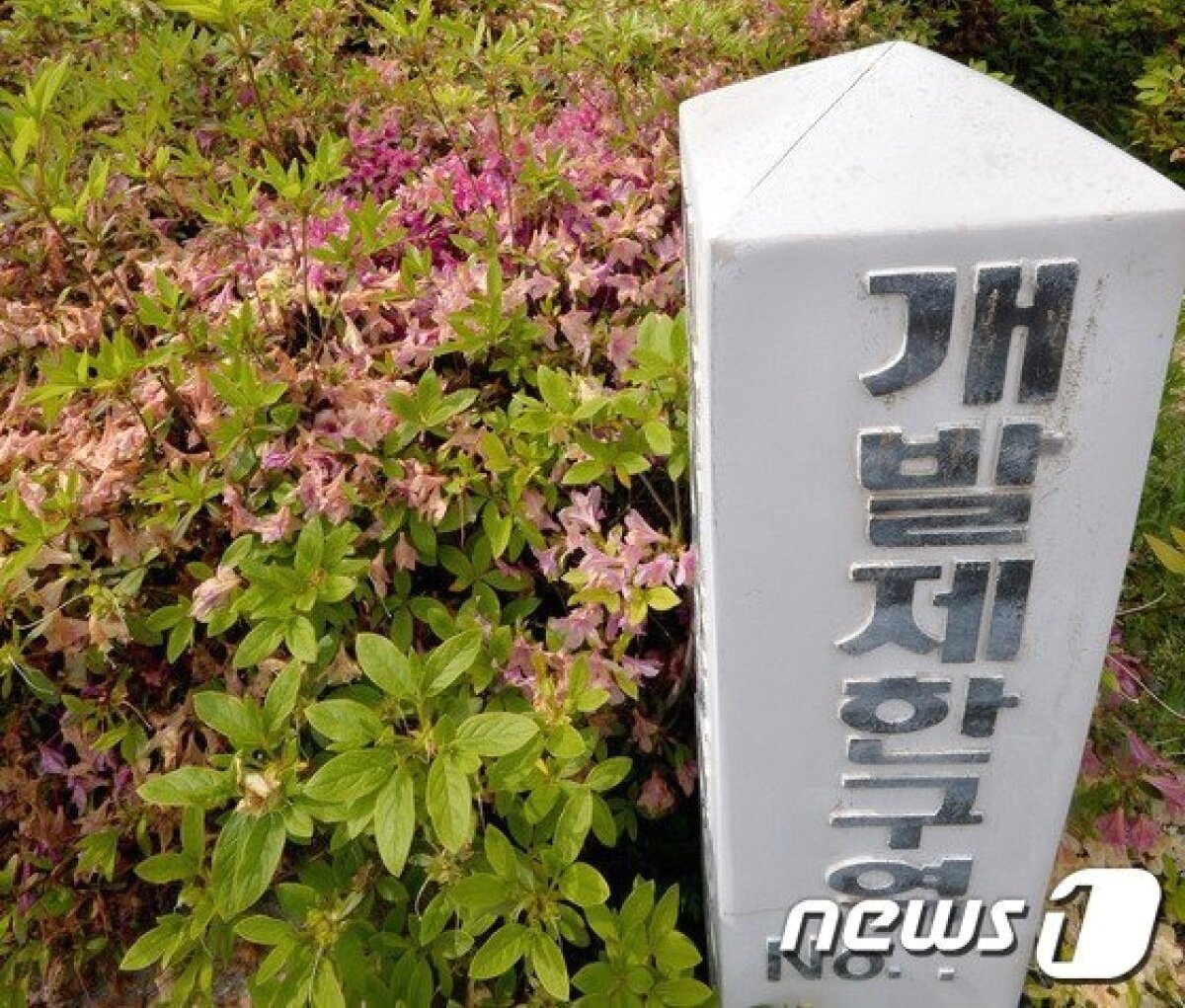 본문 이미지 -  자료사진. /뉴스1 ⓒ News1 이재명 기자 