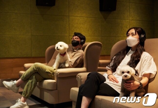 본문 이미지 - 강아지와 함께 영화 관람이 가능한 퍼피시네마. 배변 활동은 스마트 기저귀를 통해 해결할 수 있다.&#40;어나더베이비 제공&#41;