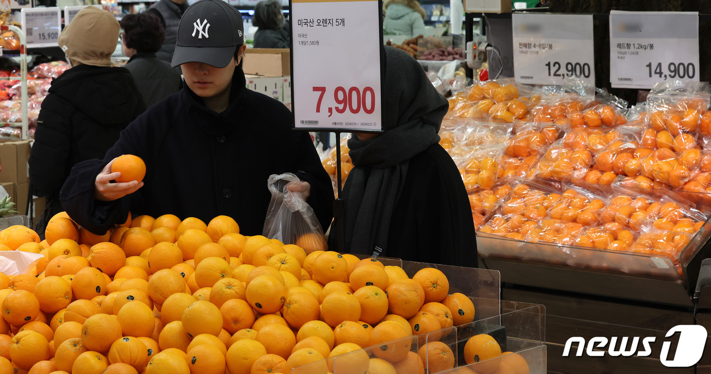 (서울=뉴스1) 박지혜 기자 = 21일 오후 서울의 한 대형마트에서 시민들이 감귤대신 비교적 저렴한 미국산 오렌지를 구입하고 있다.생산자 물가가 두 달 연속 상승했다. 1월 감귤 …