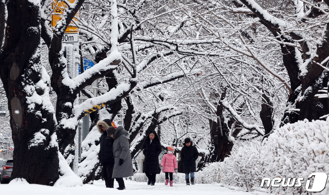 22일 오전 서울 여의도 벚나무길이 밤새 내린 눈으로 눈꽃 터널을 이뤄 멋진 풍경을 자아내고 있다. 2024.2.22/뉴스1 ⓒ News1 김명섭 기자