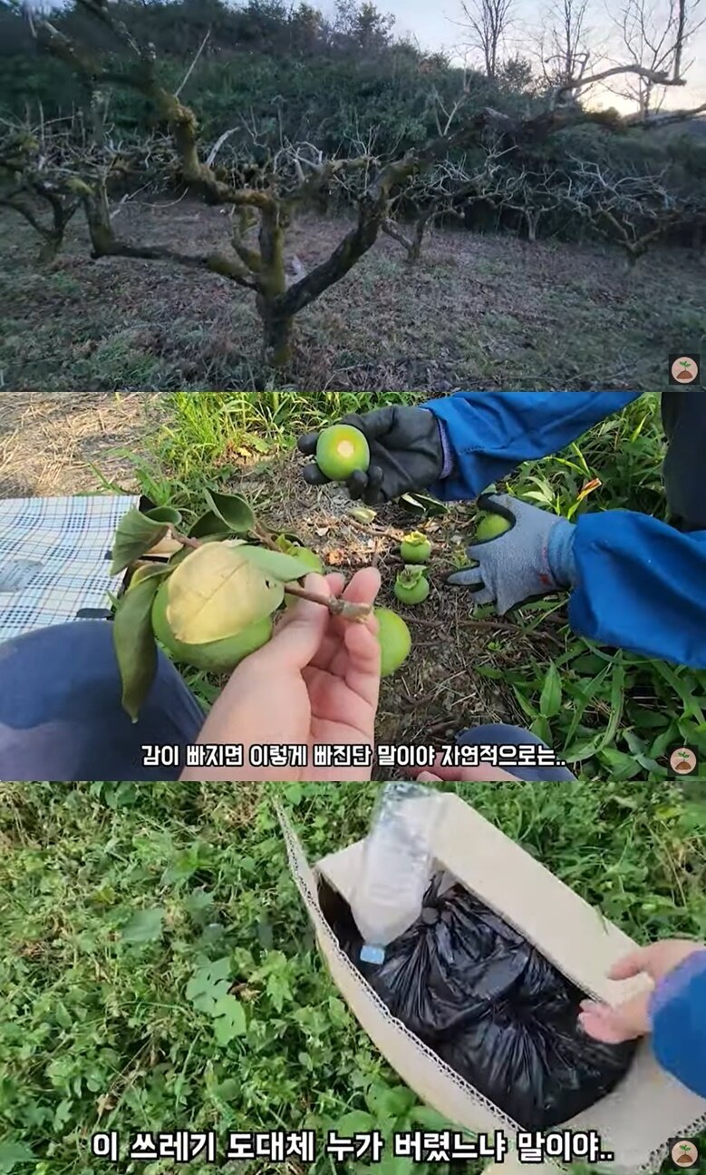 본문 이미지 - (유튜브 채널 '빠머스' 갈무리)