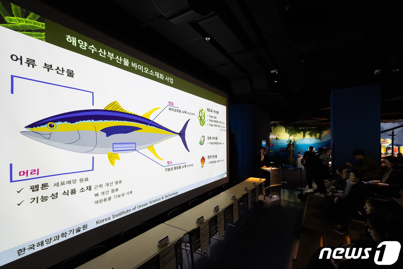 본문 이미지 - 지난 2024년 2월 오철홍 KIOST 책임 연구원이 서울 송파구 롯데월드 아쿠아리움에서 열린 ’2024 수산부산물 국제 포럼’의 테크니컬 투어 세션에서 해양생물의 고부가가치화 전략을 발표하고 있다. (롯데월드 제공) 2024.2.22 ⓒ 뉴스1