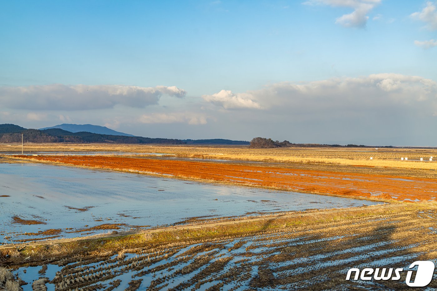 천수만 옆에 드넓게 펼쳐진 평야는 서산방조제 건설 이후 생겨난 것이다&#40;한국관광공사 제공&#41;