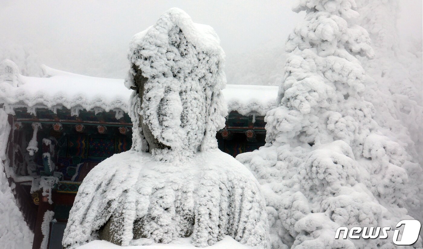 본문 이미지 - 지난 2월 강원 산간에 내린 폭설로 태백산 망경사 부처상이 눈에 얼어 붙어 있다. 눈길을 끌고 있다. (뉴스1 DB) ⓒ News1 김명섭 기자