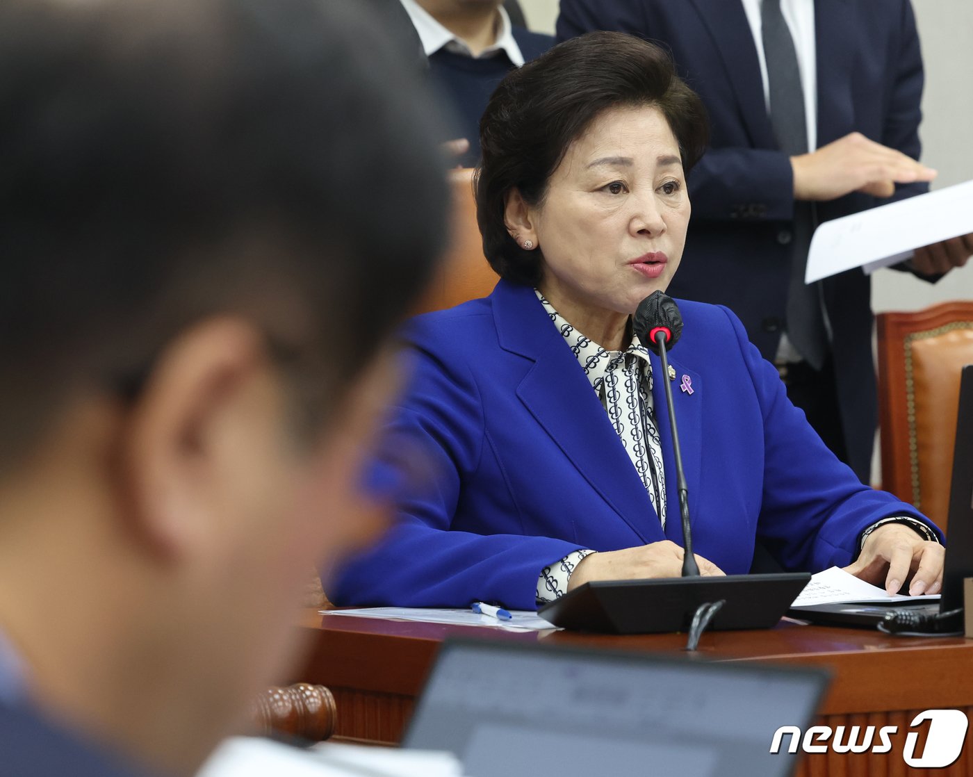 남인순 국회 정개특위 위원장이 29일 오후 서울 여의도 국회에서 열린 정치개혁특별위원회 전체회의를 주재하고 있다. 2024.2.29/뉴스1 ⓒ News1 송원영 기자