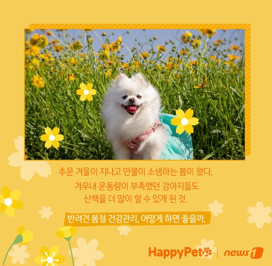 본문 이미지 - ⓒ News1 김지영 디자이너