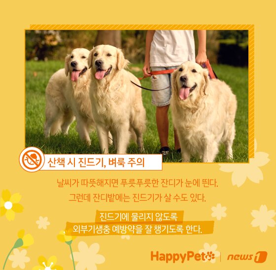 본문 이미지 - ⓒ News1 김지영 디자이너