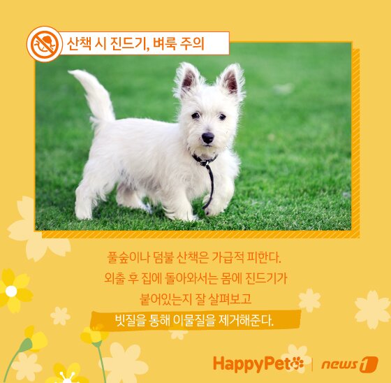 본문 이미지 - ⓒ News1 김지영 디자이너