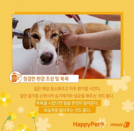 본문 이미지 - ⓒ News1 김지영 디자이너