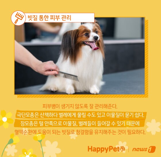 본문 이미지 - ⓒ News1 김지영 디자이너