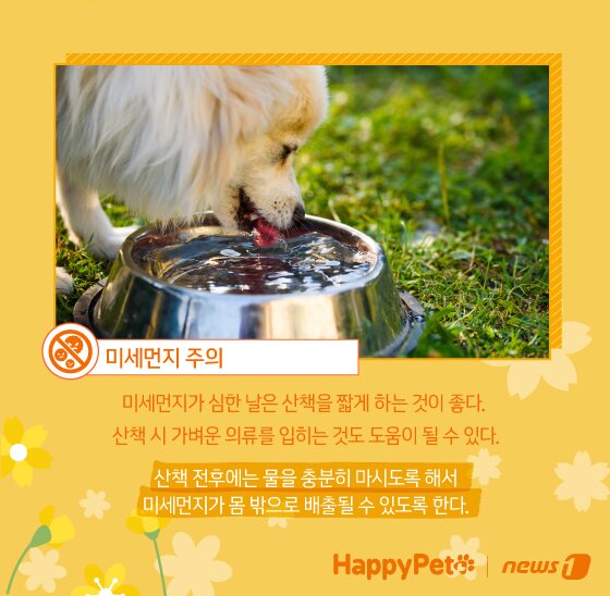 본문 이미지 - ⓒ News1 김지영 디자이너