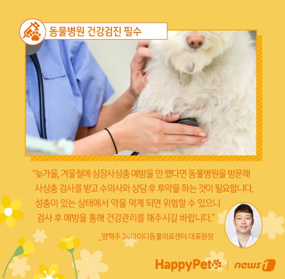 본문 이미지 - ⓒ News1 김지영 디자이너