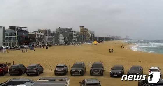 본문 이미지 - 4일 오후 강원도 강릉시 커피거리 주변. &#40;강릉시 실시간 유튜브 캡처&#41;. 2024.2.4/뉴스1