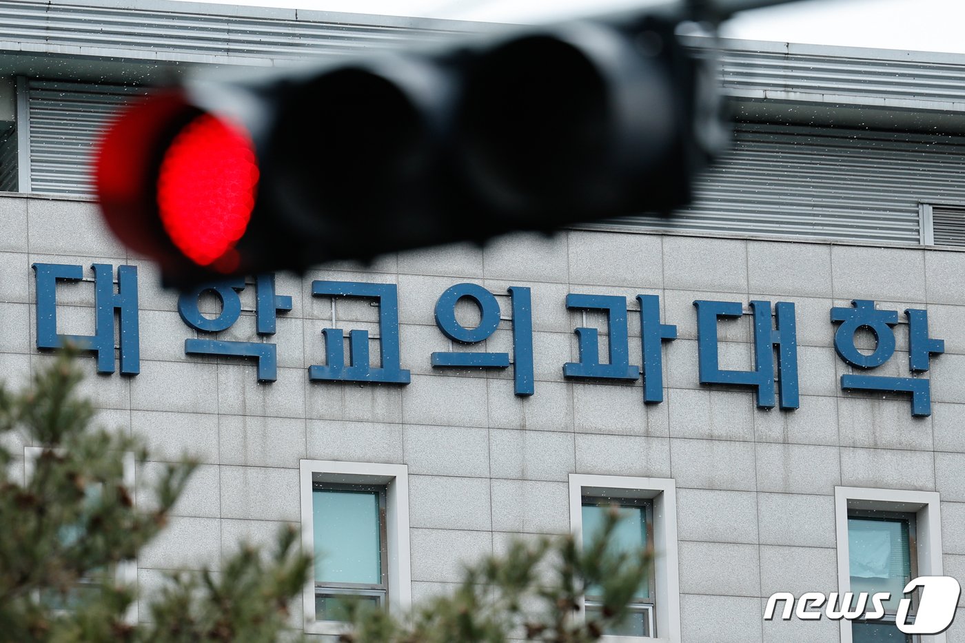 본문 이미지 - 정부의 의대증원 규모 발표를 앞둔 5일 서울 시내 의과대학 앞. 이날 대한의사협회 의료정책연구원에 따르면 대한의사협회 회원 4010명 중 81.7%&#40;3277명&#41;가 의과대학 정원 확대를 반대하는 것으로 나타났다. 2024.2.5/뉴스1 ⓒ News1 안은나 기자