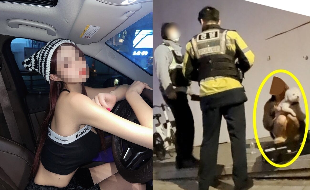 본문 이미지 - (페이스북, 유튜브 갈무리)