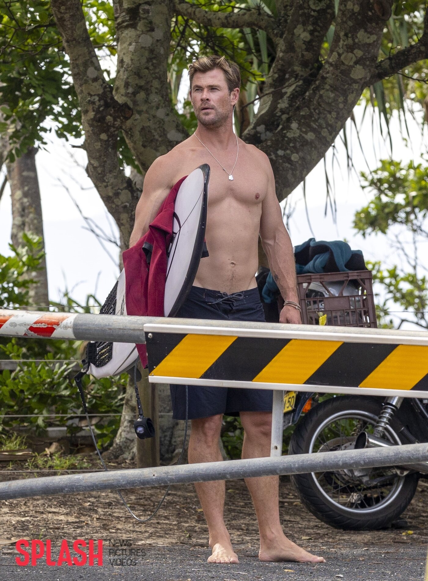 본문 이미지 - 사진=Splash News