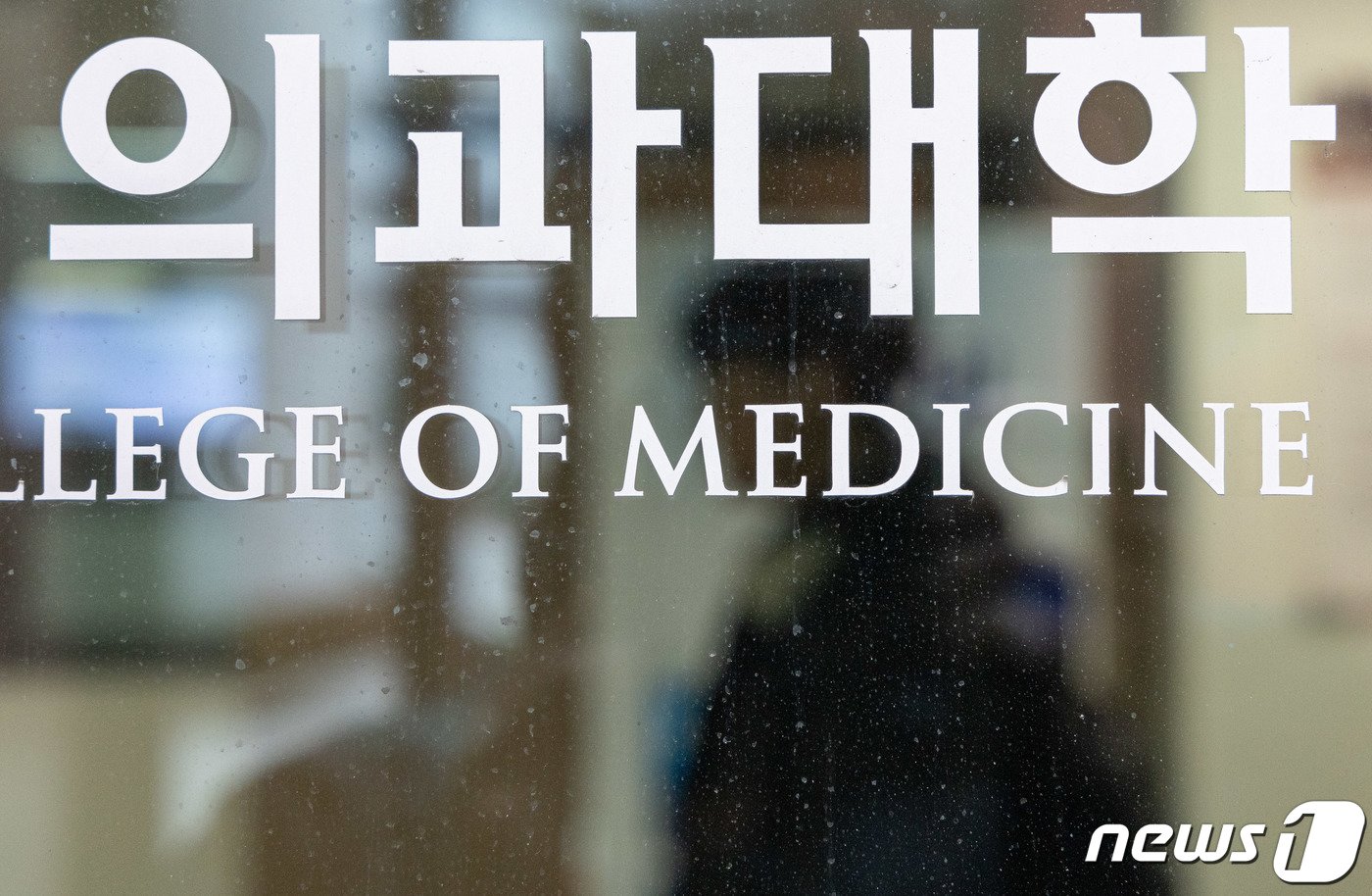 본문 이미지 - 서울 소재 한 의과대학의 모습. /뉴스1 ⓒ News1 이재명 기자