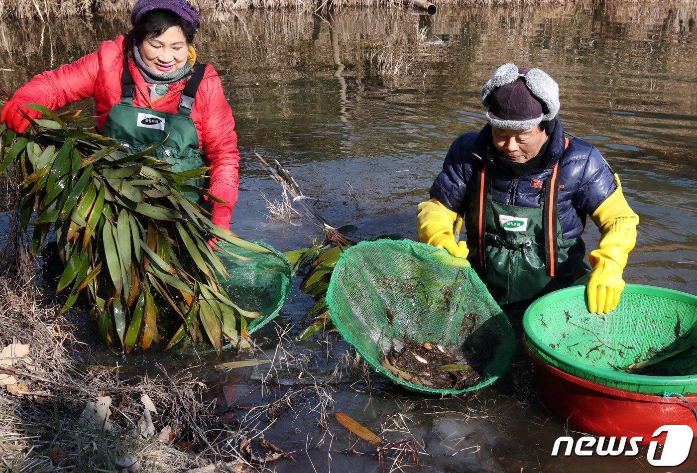 강진 옴천 토하잡이.&#40;강진군 제공&#41; ⓒ News1