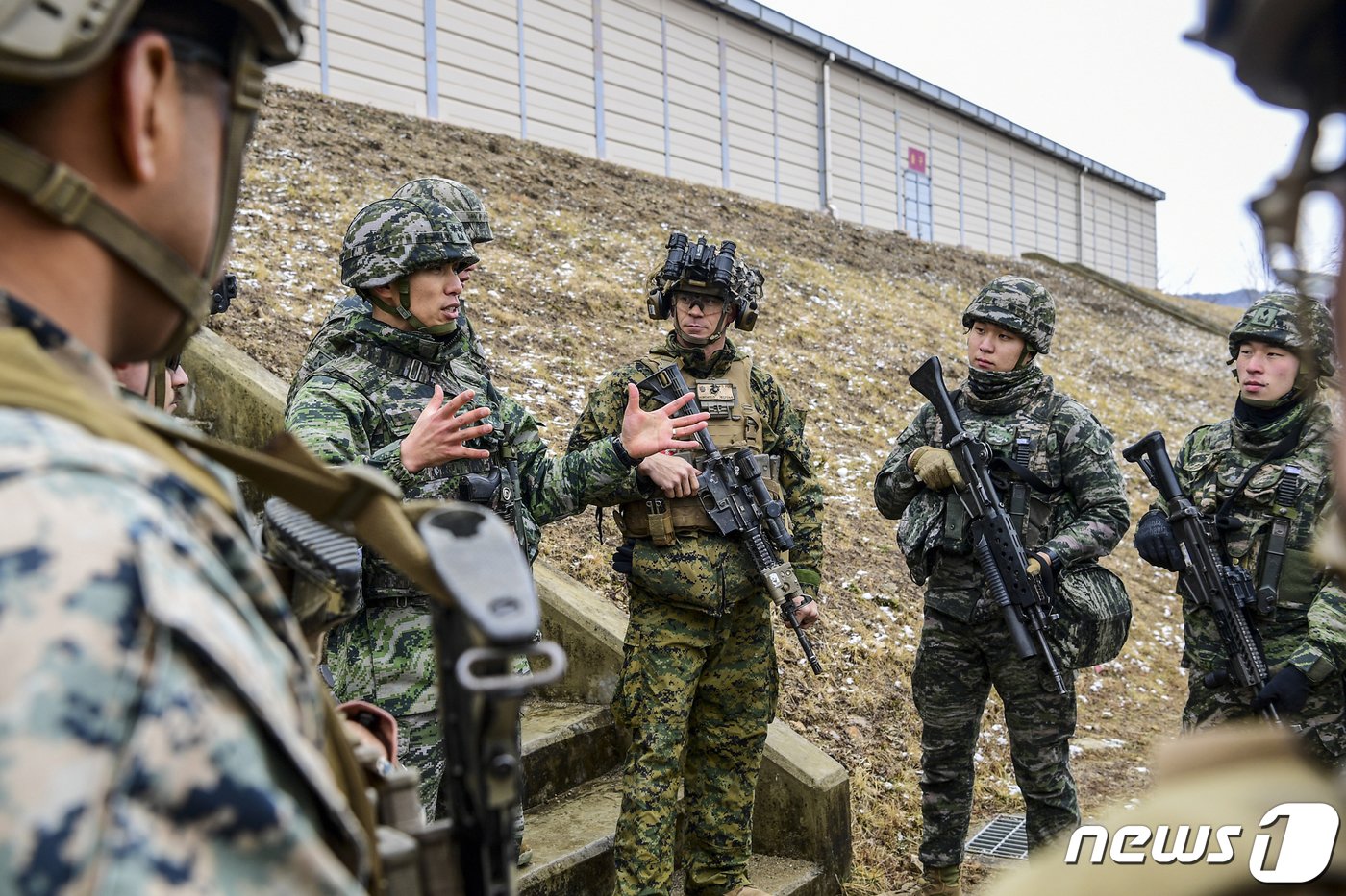  6일 실사격 훈련을 앞두고 전술 훈련을 하고 있는 미 해병대원 모습. &#40;해병대 1사단제공&#41; 2024.2.8/뉴스1 