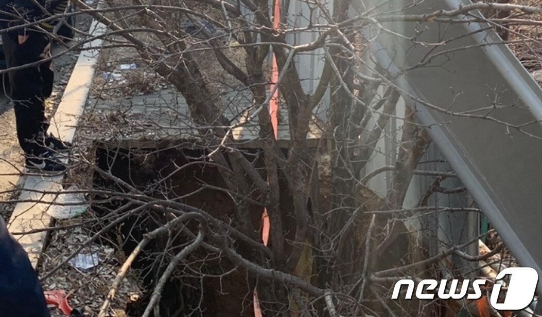 본문 이미지 - 9일 오후 강원 원주시 싱크홀 발생 현장.(독자 제공) 2024.2.9/뉴스1