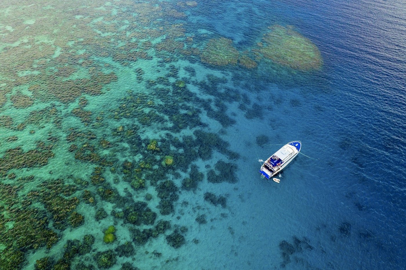 본문 이미지 - 하늘에서 내려다 본 '그레이트 배리어 리프'@호주 퀸즐랜드 관광청