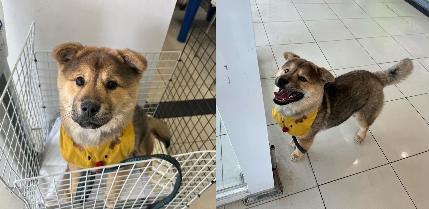 본문 이미지 - (인스타그램 갈무리) /뉴스1