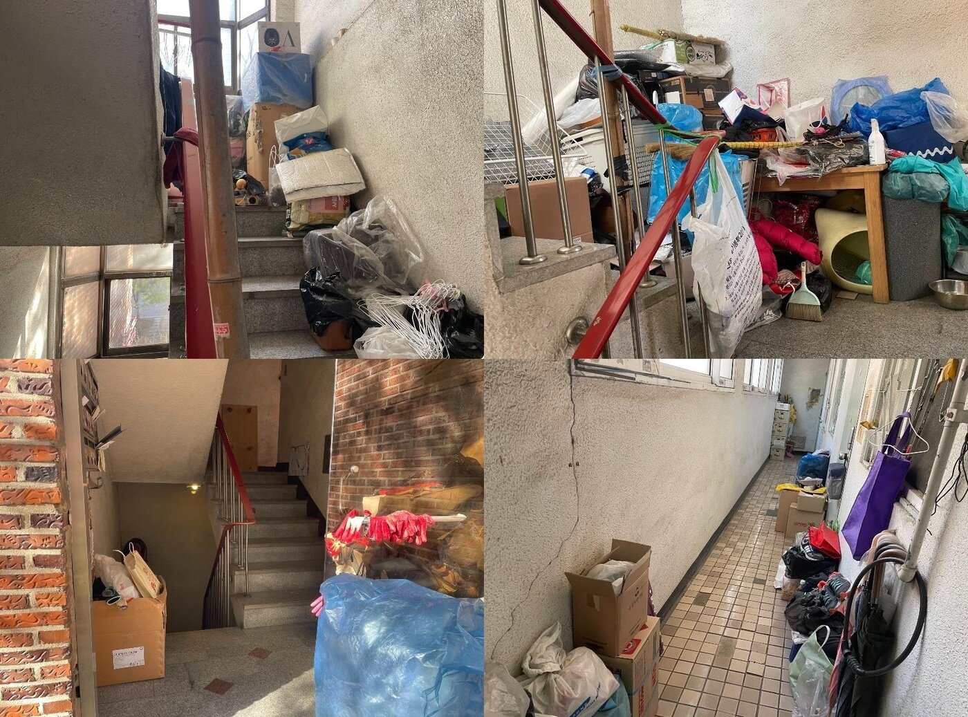 본문 이미지 - (보배드림 갈무리)