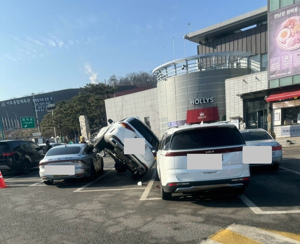 본문 이미지 - (온라인 커뮤니티 갈무리)