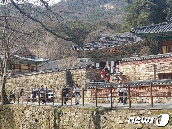 본문 이미지 - 16일 계룡산 국립공원에 탐방객들이 동학사 근처를 걷고 있다. (계룡산 국립공원 제공) 2024.3.16/뉴스1