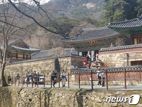 16일 계룡산 국립공원에 탐방객들이 동학사 근처를 걷고 있다. &#40;계룡산 국립공원 제공&#41; 2024.3.16/뉴스1