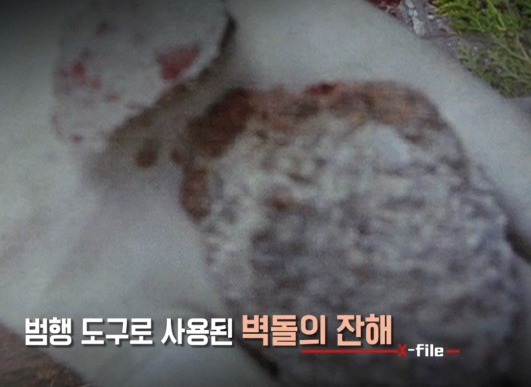 본문 이미지 - ('강력반 X파일 끝까지 간다')