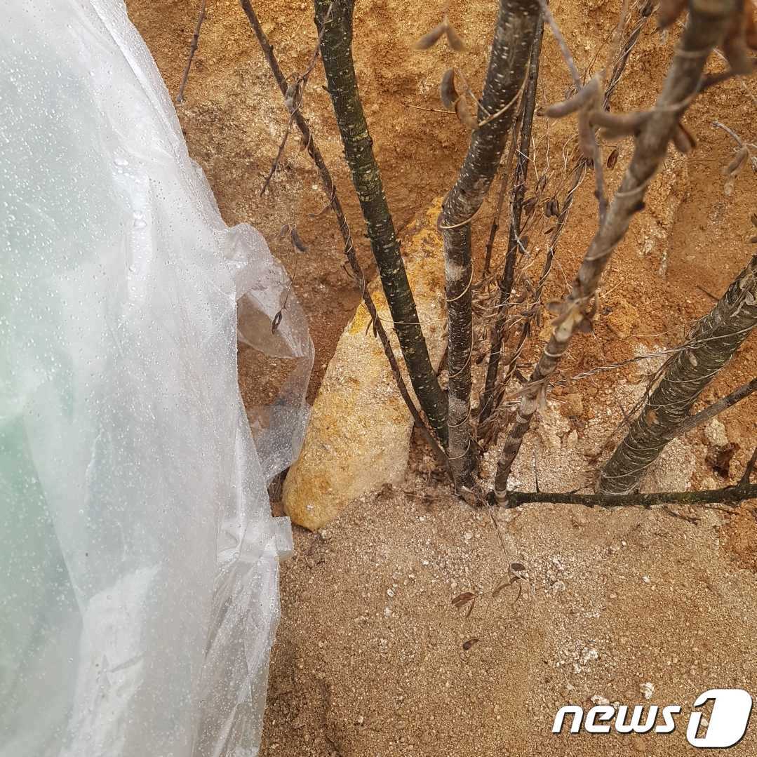 강원 춘천 금산리 밭에서 발견된 불발탄.&#40;강원도소방본부 제공&#41;