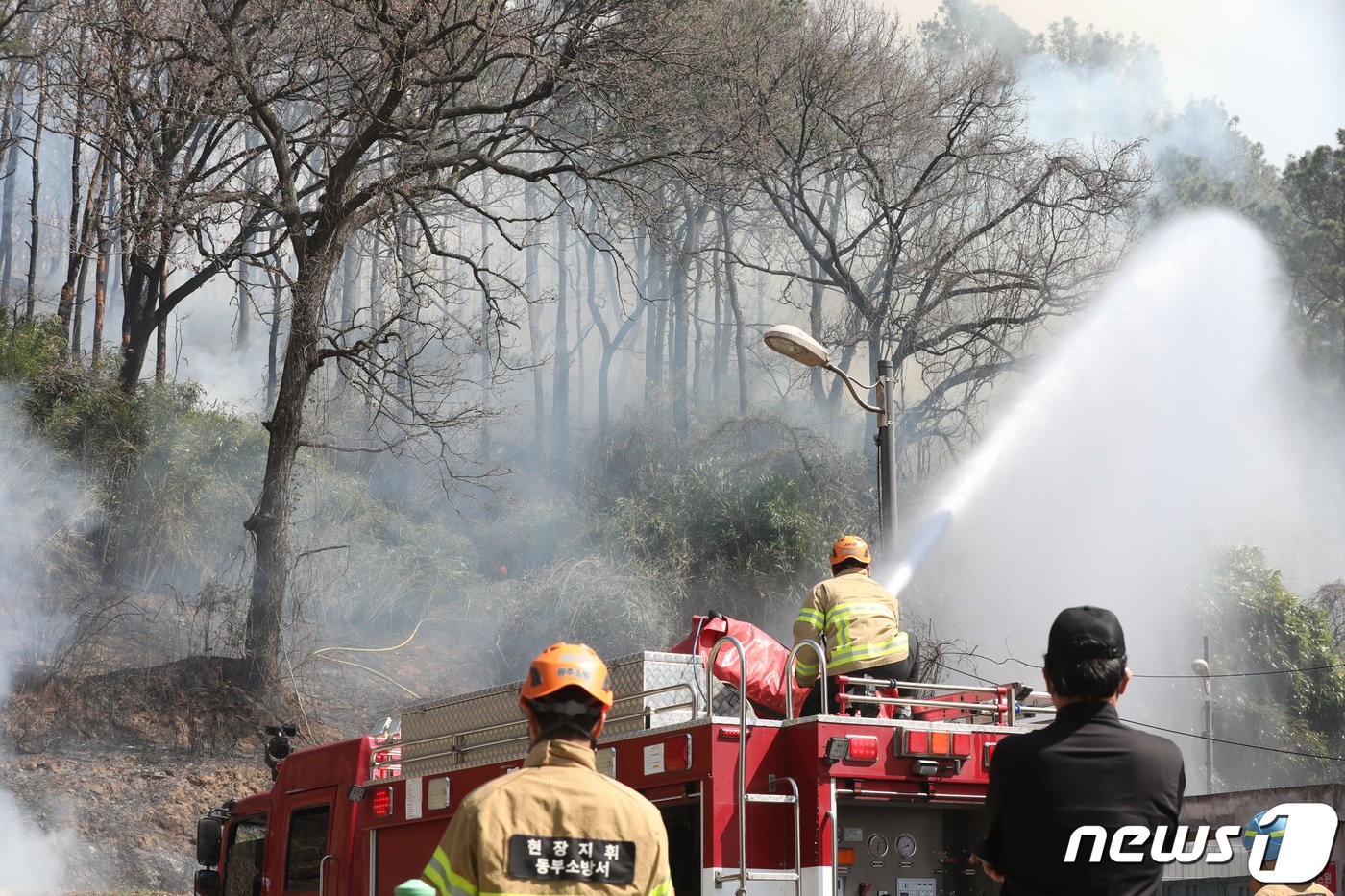 20일 오후 1시 11분쯤 광주 동구 학동의 미양산에서 불이 나 소방과 산림당국이 진화작업을 하고 있다. 2024.3.20/뉴스1 ⓒ News1 박지현 수습기자