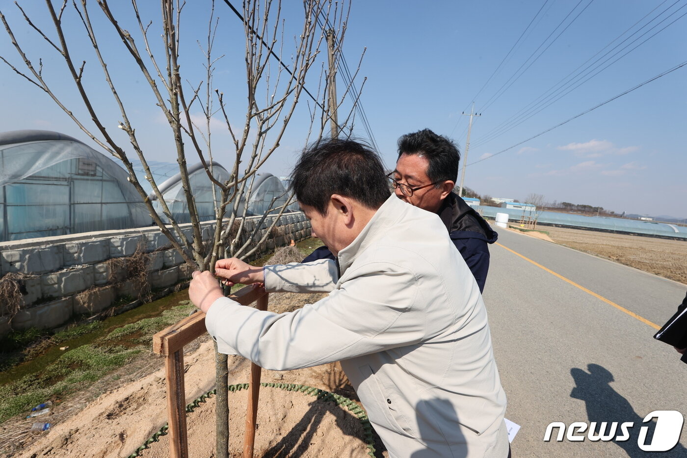 본문 이미지 - 충북 진천군이 독립운동가 보재 이상설 선생을 기리기 위해 건립한 기념관 진입로에 무궁화 518그루를 심어 무궁화길을 조성했다.(진천군 제공)/뉴스1