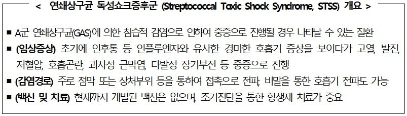 본문 이미지 - 연쇄상구균 독성쇼크증후군(STSS) 개요.(질병관리청 제공)/뉴스1 ⓒ News1