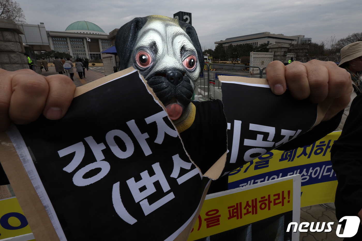 (서울=뉴스1) 이동해 기자 = 국제 강아지의 날을 하루 앞둔 22일 한국동물보호연합 활동가들이 서울 여의도 국회 앞에서 기자회견을 열고 강아지 공장 폐지를 촉구하며 퍼포먼스를 하 …