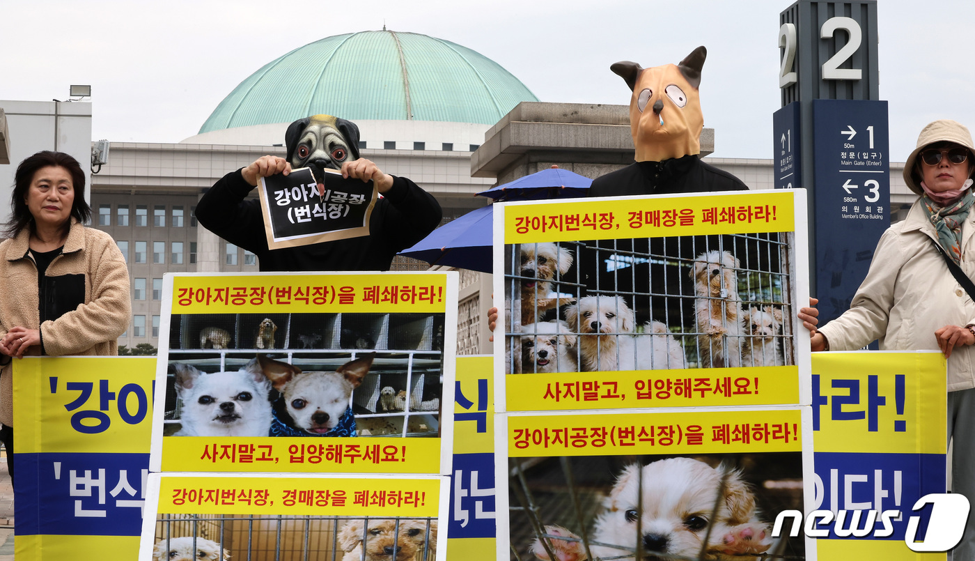 (서울=뉴스1) 이동해 기자 = 국제 강아지의 날을 하루 앞둔 22일 한국동물보호연합 활동가들이 서울 여의도 국회 앞에서 기자회견을 열고 강아지 공장 폐지와 유기동물 입양으로 키우 …