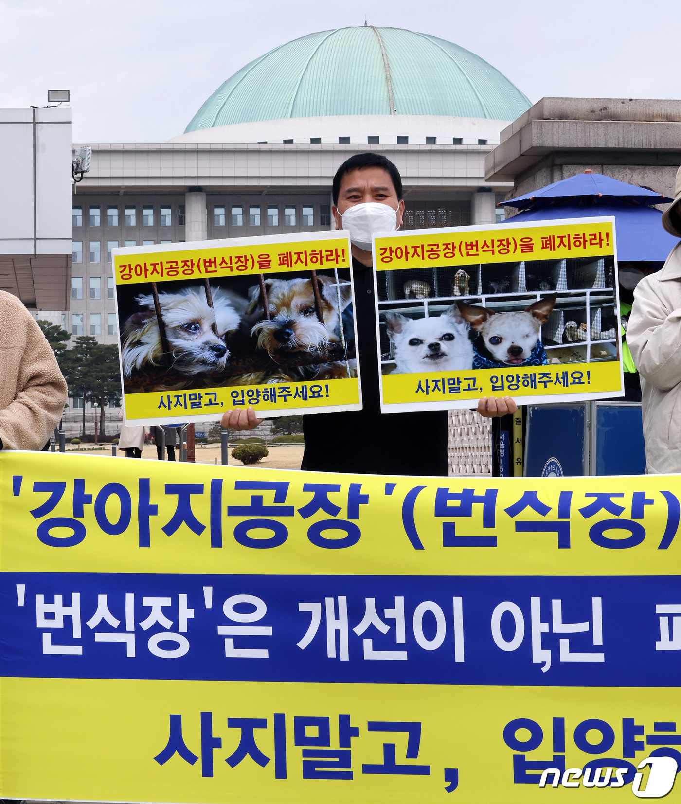 (서울=뉴스1) 이동해 기자 = 국제 강아지의 날을 하루 앞둔 22일 한국동물보호연합 활동가들이 서울 여의도 국회 앞에서 기자회견을 열고 강아지 공장 폐지와 유기동물 입양으로 키우 …