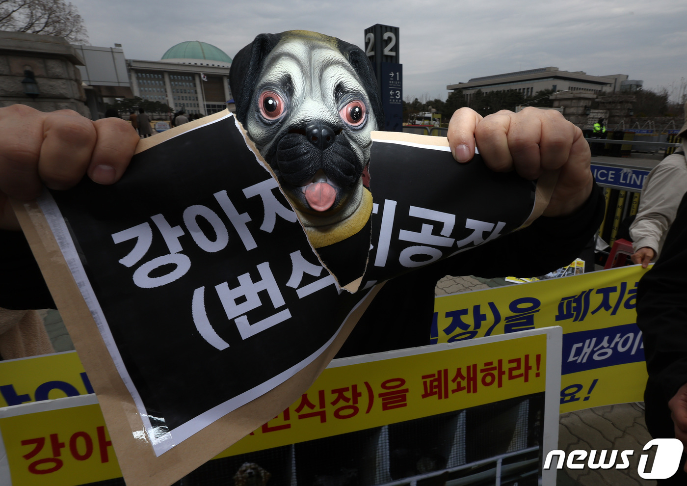 (서울=뉴스1) 이동해 기자 = 국제 강아지의 날을 하루 앞둔 22일 한국동물보호연합 활동가들이 서울 여의도 국회 앞에서 기자회견을 열고 강아지 공장 폐지를 촉구하며 퍼포먼스를 하 …