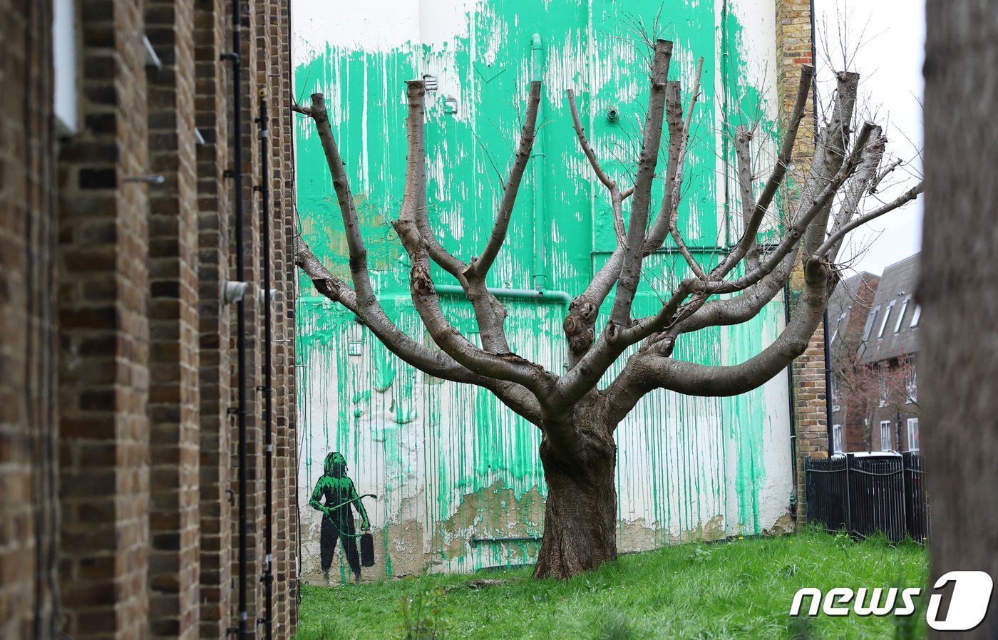 본문 이미지 - 18일(현지시간) 영국의 이름 없는 화가 뱅크시(Banksy)가 공개한 새로운 작품. 런던 북부의 한 아파트에 나뭇잎처럼 보이는 초록색 벽화가 그려져 앙상한 벚나무와 조화를 이루고 있다. 2024.03.18 ⓒ 로이터=뉴스1 ⓒ News1 정지윤 기자