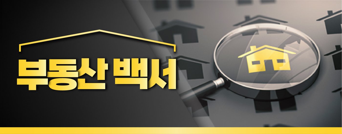 본문 이미지 - ⓒ News1 윤주희 디자이너