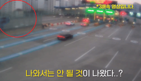 본문 이미지 - (경찰청 유튜브 갈무리)