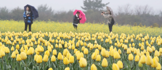 [오늘의 날씨] 제주(13일, 월)…오후 대부분 비 소강상태