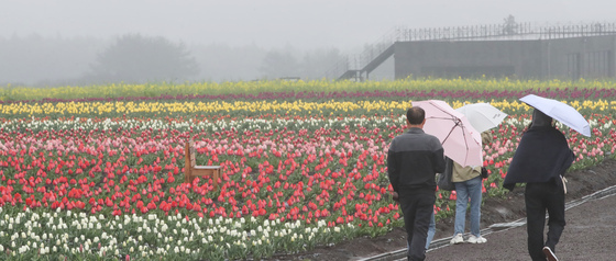 [오늘의 날씨]제주(20일, 월)…오후까지 5~20㎜ '비'
