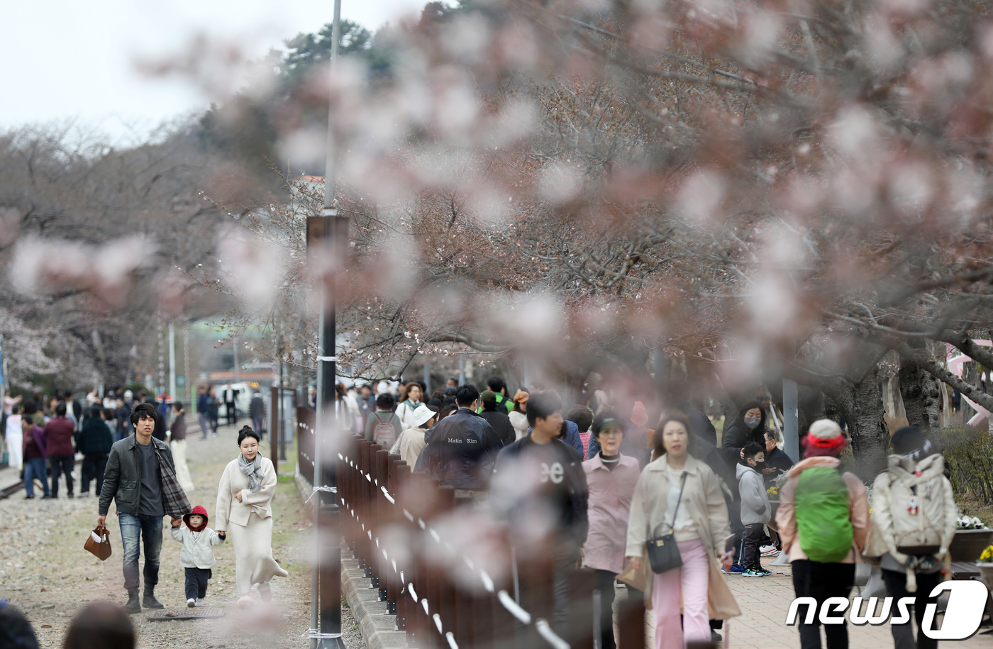 (창원=뉴스1) 윤일지 기자 = 국내 대표 벚꽃 축제인 진해군항제가 열리고 있는 24일 경남 창원시 진해구 경화역공원에서 관광객들이 일부 개화하기 시작한 벚꽃을 보며 즐거운 시간을 …