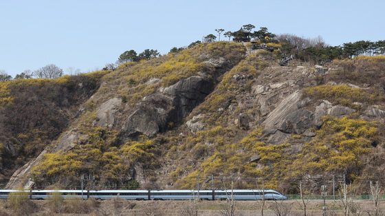 4월 등산사고 급증 947건…행안부, 봄철 산행 주의 당부