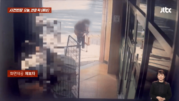 본문 이미지 - (JTBC '사건반장')
